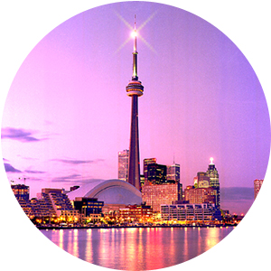 Portfolio Image